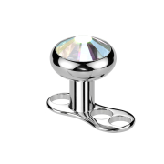 Ancoraggio dermico con filettatura interna argento con...