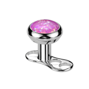 Ancoraggio dermico con filettatura interna argento e...