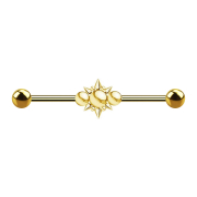 Barbell doré deux boules trois boules avec cones