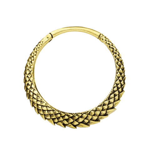 Poids doreille pliable doré peau de dragon