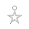 Pendant silver star