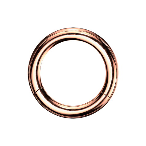 Segment ring hinged rose gold