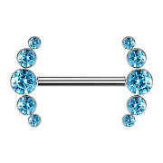 Barbell filettatura interna argento frontale cinque...