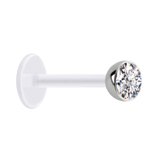 Sterile, transparent micro labret with a silver...