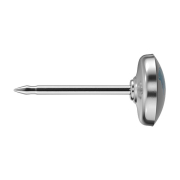 Erststecker silber Delphin