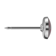 First plug silver crown