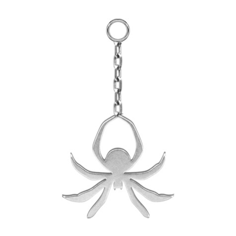 Pendentif argenté avec une araignée