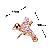 Threadless Kolibri rosegold Kristalle multicolor